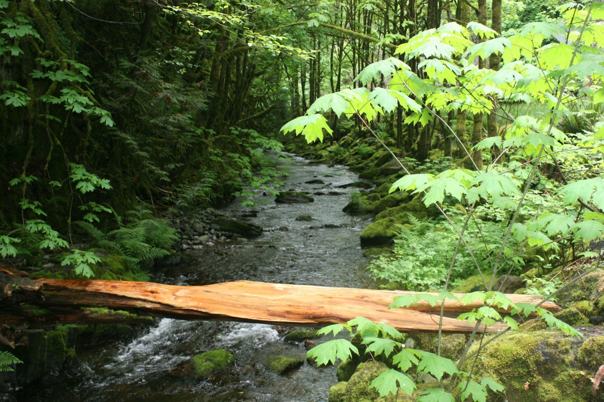 Goldstream Park and Sooke Potholes